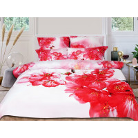 Комплект постільної білизни сатин фотопринт 303
